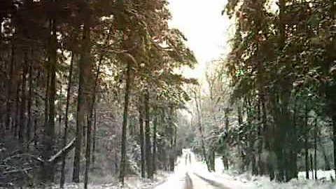 Snowflakes On The Mountain.