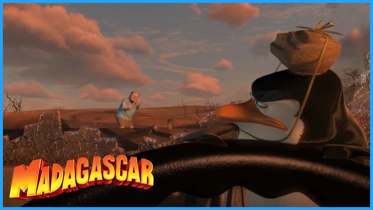 DreamWorks Madagascar | Operation Tourist Trap | Madagascar: Escape 2 Africa Movie Clip
