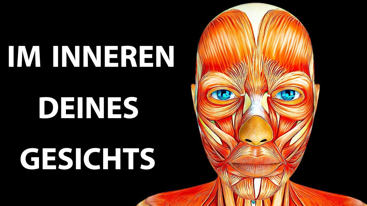 So arbeitet dein Gesicht – in beeindruckenden 3D-Details
