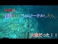 台風の後、シュノーケルしたら大漁だった！【魚突き】