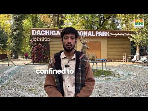 Kashif Farooq Bhat, Saving Kashmir’s Endangered Hangul