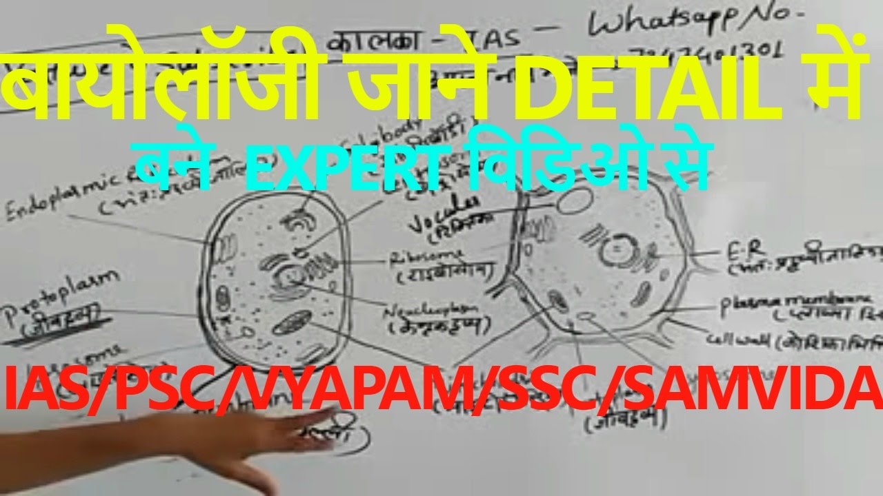 BIOLOGY IN HINDI(PART1)विज्ञान हिंदी में YouTube