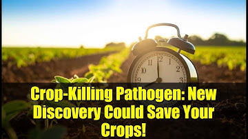 Crop-Killing Pathogen: New Discovery Could Save Your Crops!