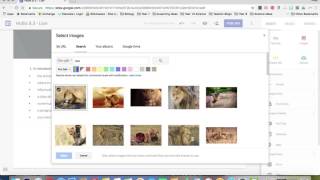 Year 8 Science - Insert Text Box & Image into a Google Site
