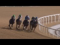 DWCC Meydan Racecourse 28-1-16, Race 3 Prime At The Meydan Hotel