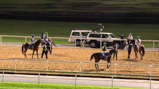 Vidéo de la course PMU PRIME AT THE MEYDAN HOTEL