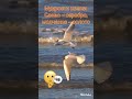 Мудрости жизни, слово серебро, молчание золото #мудрость #молчание #вдохновение  #самопознание