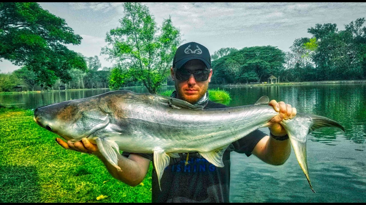 TONS of ACTION catching HUGE FISH in SOUTHEAST ASIA (THAILAND 2019)