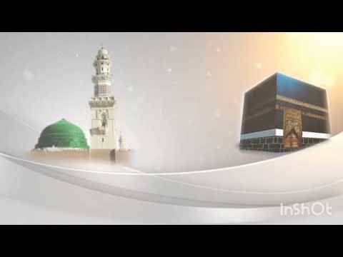 علي ابو الذهب الاسواني يا رسول الله يا سندي Ali Abo Adahab Al Asswani