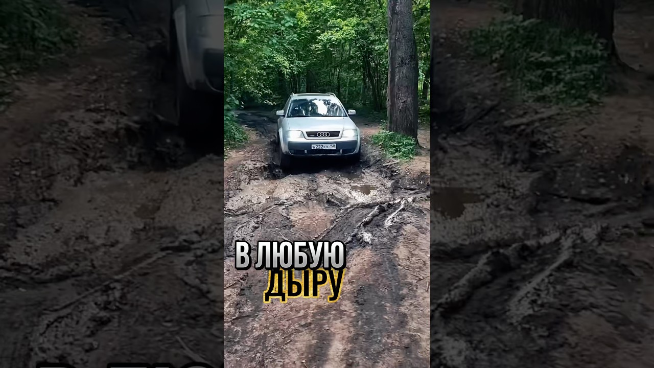 Машина которая может A6 Allroad C5