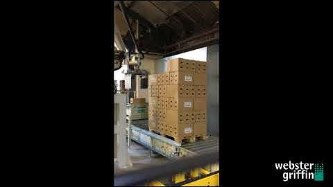 How to Palletise Cases - Multi-Line Box Palletiser from Webster Griffin