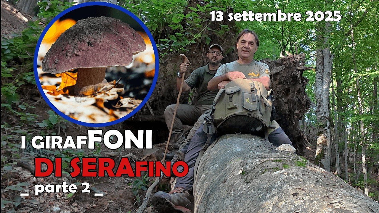 I GIRAFFONI DI SERAFINO - PARTE 2 -   13 SETTEMBRE 2025