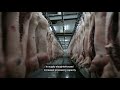 The Danger of Increased Slaughterhouse Line-Speeds