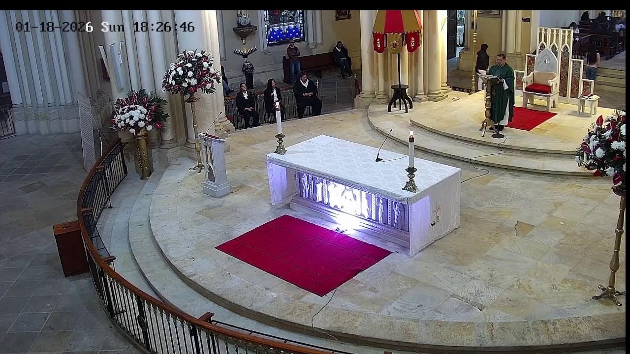 Transmisión Eucaristía Basílica de Lourdes   2026