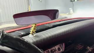 IMG 6173 IMG 6173
