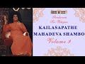 Kailasapathe mahadeva shambo  sundaram sai bhajan  volume 9  sundaram bhajan group
