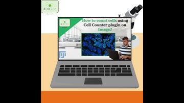 How to count cells using ImageJ Cell Counter #plugin #cell #counter #imagej #shorts #science