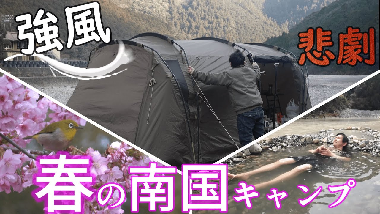 キャンプ 和歌山で春キャンプ 強風に耐えるテント お花見河津桜 田辺川湯キャンプ場 アウトドアなび