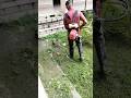 Army soldiers are clearing weeds in the office garden.#shorts #shortvideo #cuttingrass