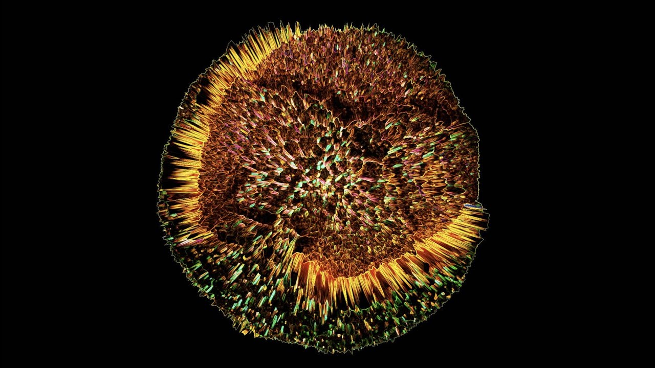 Jonathan Kaspar - Unify feat. Graham Baxter