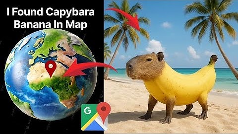 I Found Capybara Bananas in Google map and Google Earth map #viralvideo #funny #google 