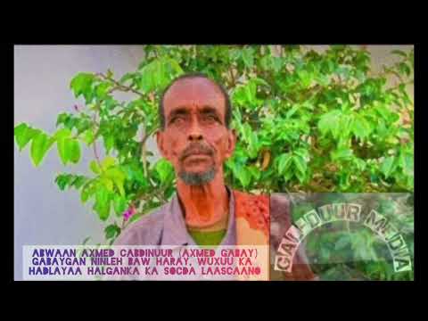 Abwaan Axmed Gabay Cabdinuur Gabay Ka Hadlaya Dagaalka Ka Socda Gobolka Sool