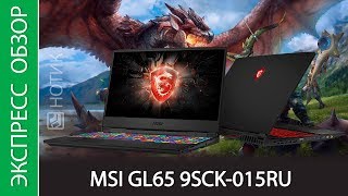 Экспресс-обзор ноутбука MSI GL65 9SCK-015RU