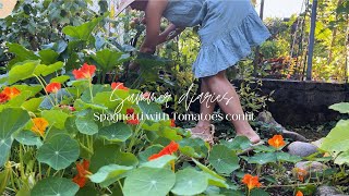 #vlog Summer diaries | From garden to Table  cook what you grow  easy & fit for summer