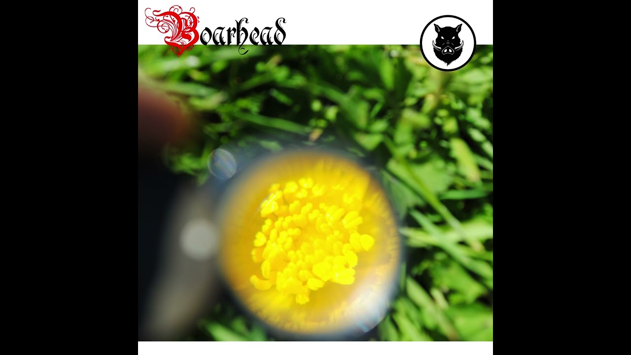 Boarhead - Cave Of Radiance