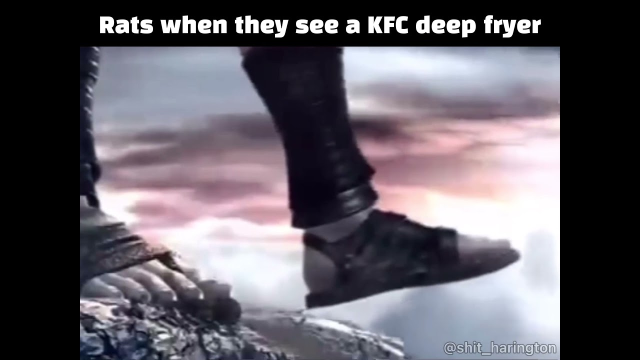 RATS WHEN THEY SEE A KFC DEEP FRYER - YouTube