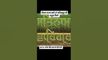 If you have 10 second then write waheguru ji ❤️🙏 #satnamwaheguru #waheguruji #shorts #chardikla