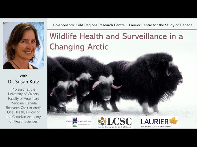 Wildlife Health and Surveillance in a Changing Arctic, with Dr. Susan Kutz