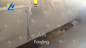 Cashew Nut Continuous Roasting Machine