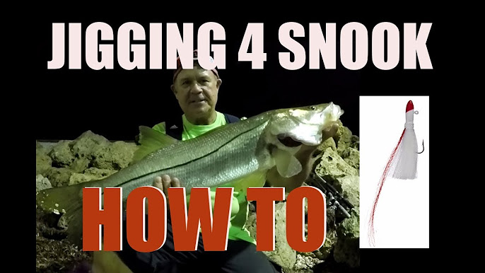 Snook Fishing 