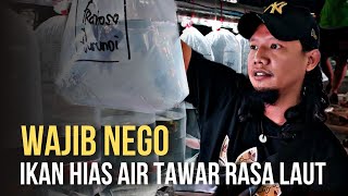 WAJIB NEGO !!! IKAN HIAS AIR TAWAR RASA LAUT || PASAR IKAN HIAS JATINEGARA