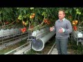 Greenhouse promo video for Nature Fresh Farms Leamington