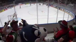 Laika is cheering for team Hungary - best fans