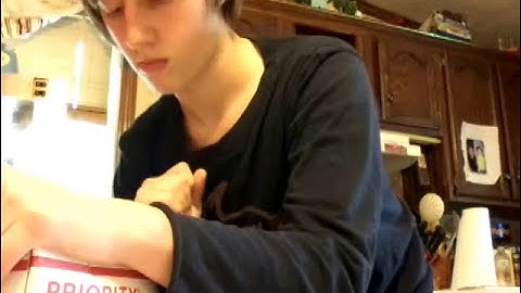 Speed Stacks Flaming Cups Unboxing