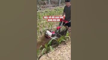Máy xới đất, vun luống, làm cỏ, LH zalo 0948.456.680 #short