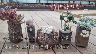 사각분 모서리 이용한 분갈이 | 수형있게 심어 보기 | 주물럭손옹기화분인천군생농장