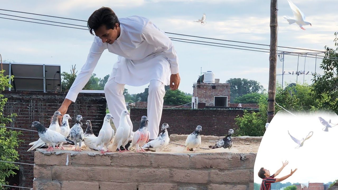 1 Kabooter Uth Gaya | Nasir Vlogs