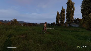 DayZ Lag Explained In 17 Seconds #Shorts