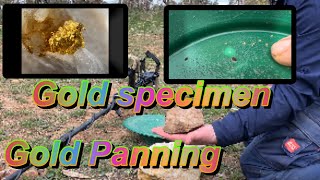 Gold Prospecting and Gold Panning in the Goldfields of Victoria.