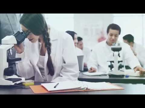 Merck Group  - Employee Videos - Career Development