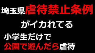 埼玉県・虐待禁止条例がイカれてる。小学だけで公園で遊んだら虐待【朝霞市議会選挙、朝霞市議会議員、外山まき、黒川あつひこ】