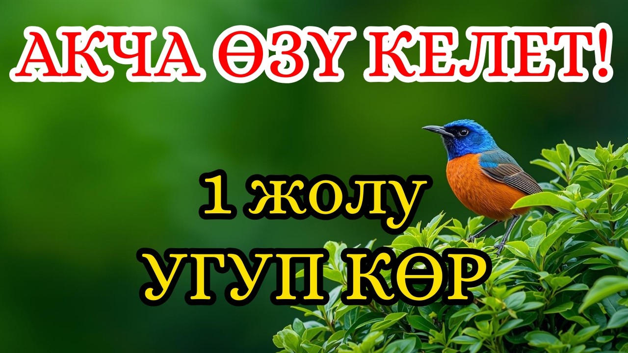 БИР ГАНА ДУА 🤲 Акча Эшиги ТАРС АЧЫЛАТ