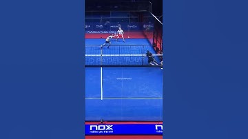 WHAT A POINT 😱😱| Padel Highlights #bestofpadel