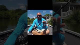 Skip a Fluke Like a Pro This Fall #shorts #bassfishing #fishing #howto