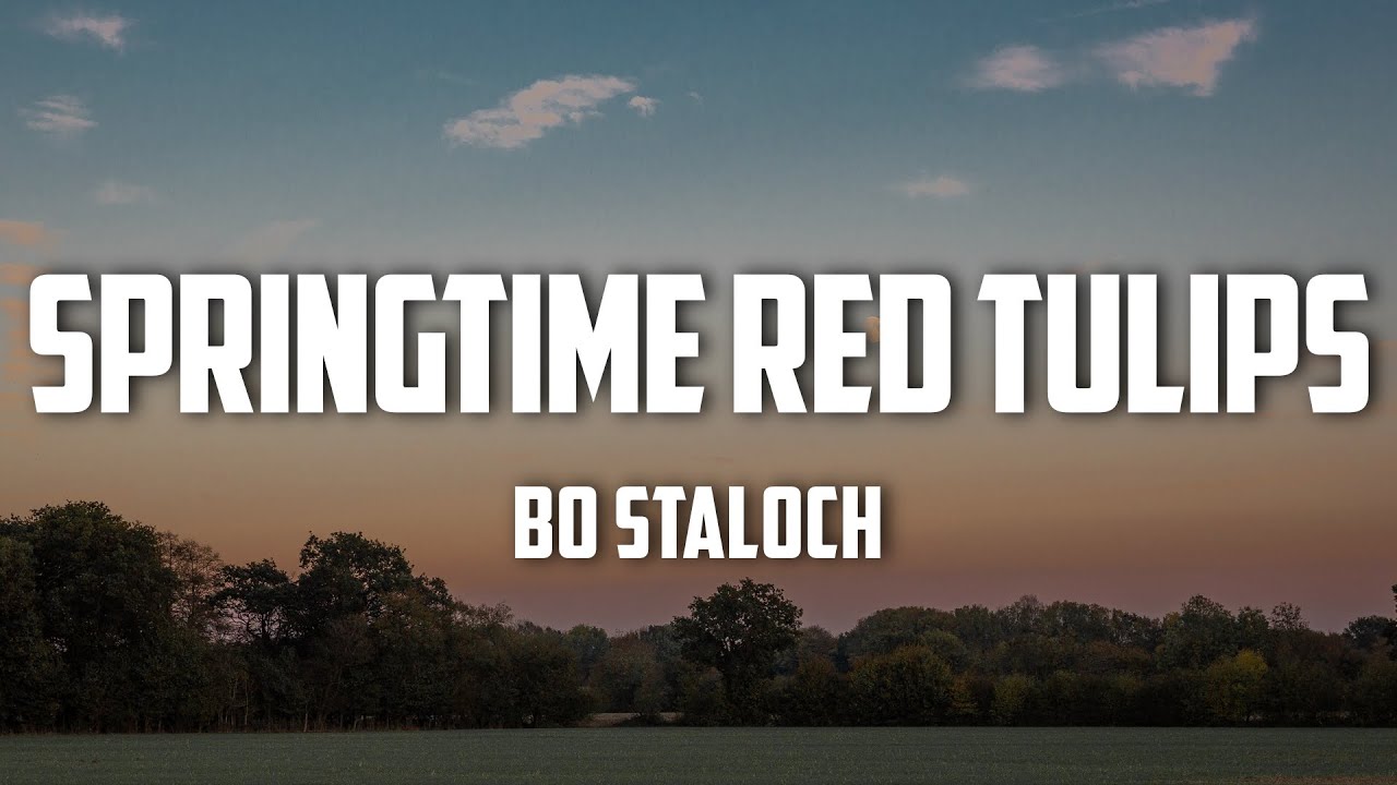 bo-staloch-springtime-red-tulips-lyrics-youtube
