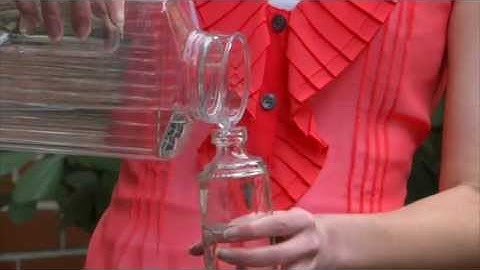 Perky-Pet® Window Mount Glass Hummingbird Feeder Instructional Video | Window Hummingbird Feeder